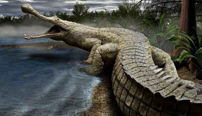древние крокодилы