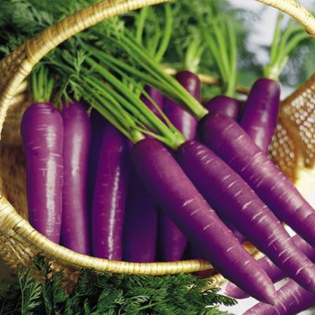 Морковь фиолетовая 