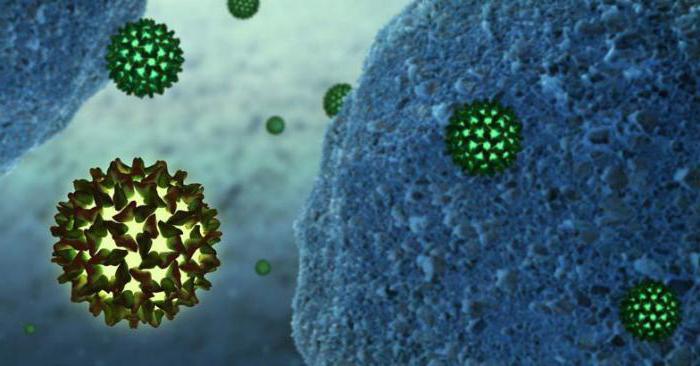 иммунный статус и вирусная нагрузка