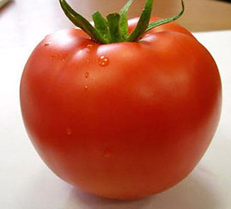 томат линда характеристика и описание сорта