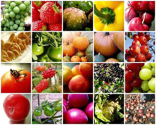 плоды овощей