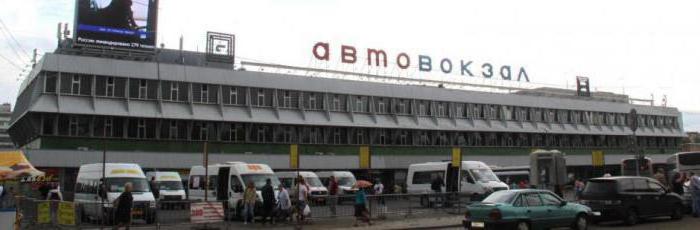 москва щелковский автовокзал 