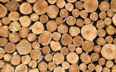 ЕГАИС учета древесины Единая государственная автоматизированная информационная система учета древесины и сделок с ней
