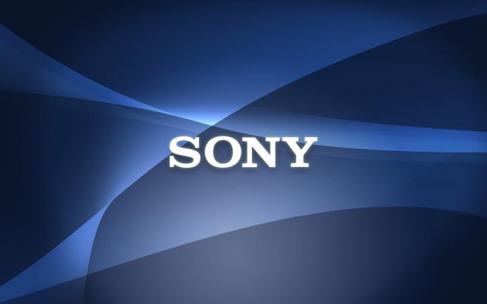 Sony Cyber Shot DSC W830 отзывы