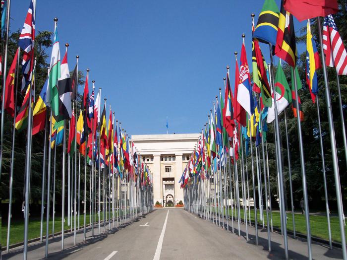 Создание Организации Объединенных Наций