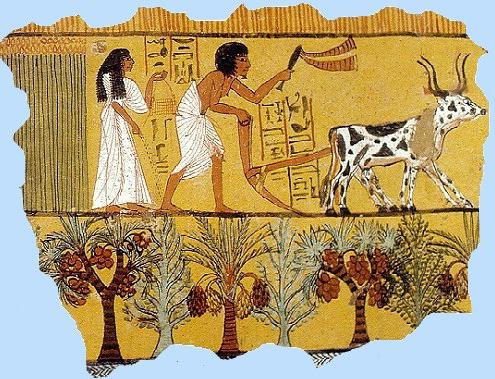 древние земледельцы в египте