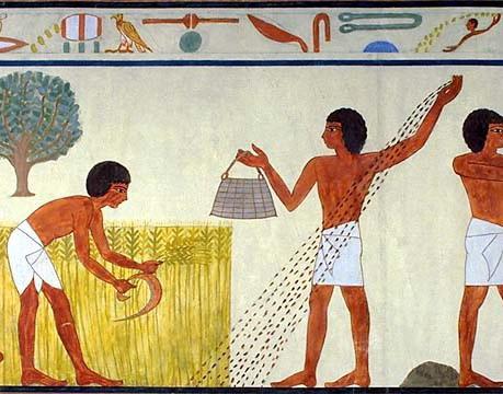 земледельцы в древнем египте