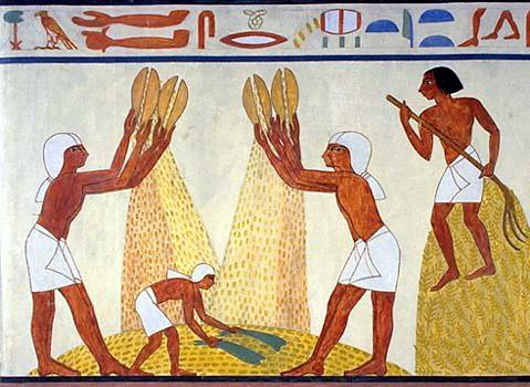 земледелие в древнем египте история