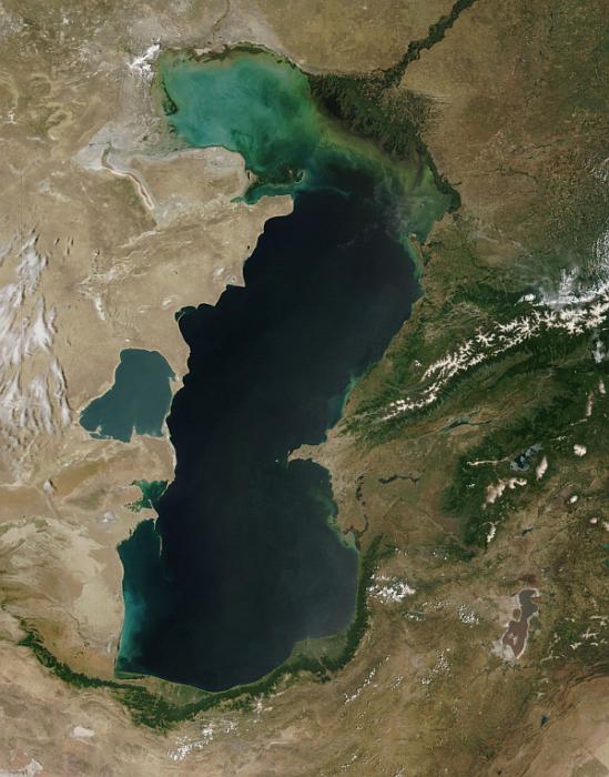 Каспийское море это озеро