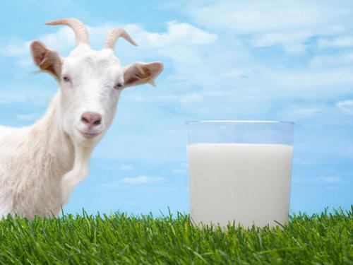 Смеси на козьем молоке: отзывы, цена и состав