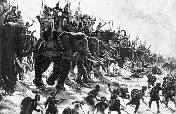 животное использовали против боевых слонов