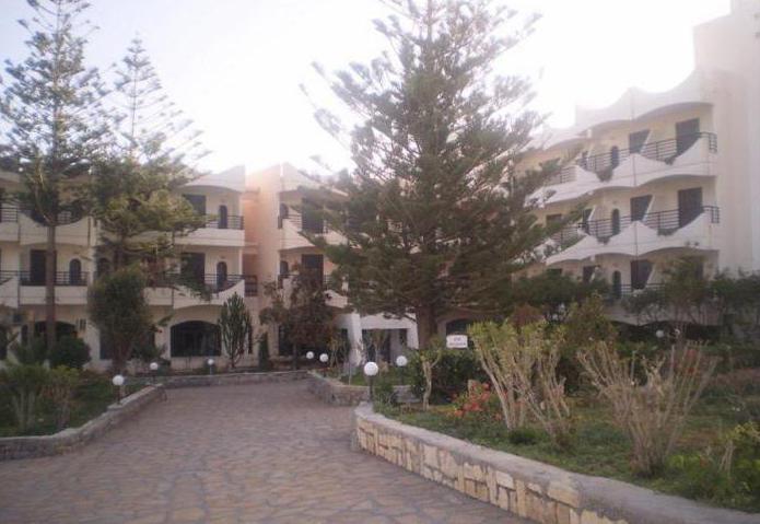 themis beach hotel 4