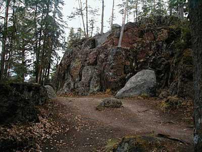 заповедник санкт петербурга и ленинградской области