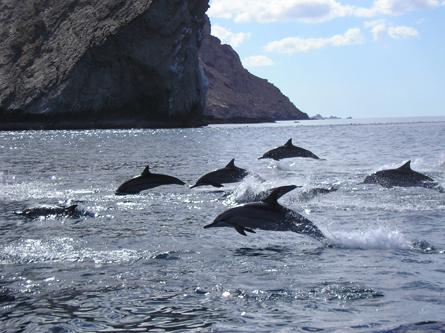 остров сокотра море