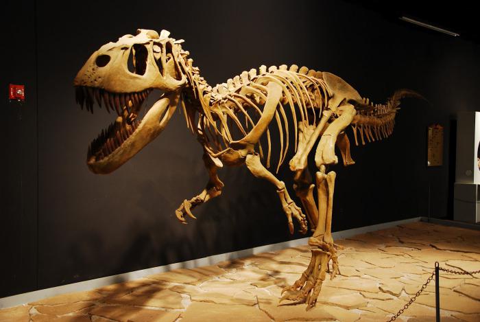 музей динозавров на вднх 