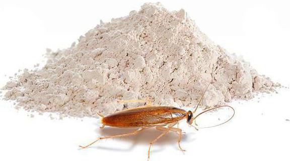 как избавиться от тараканов в домашних условиях навсегда