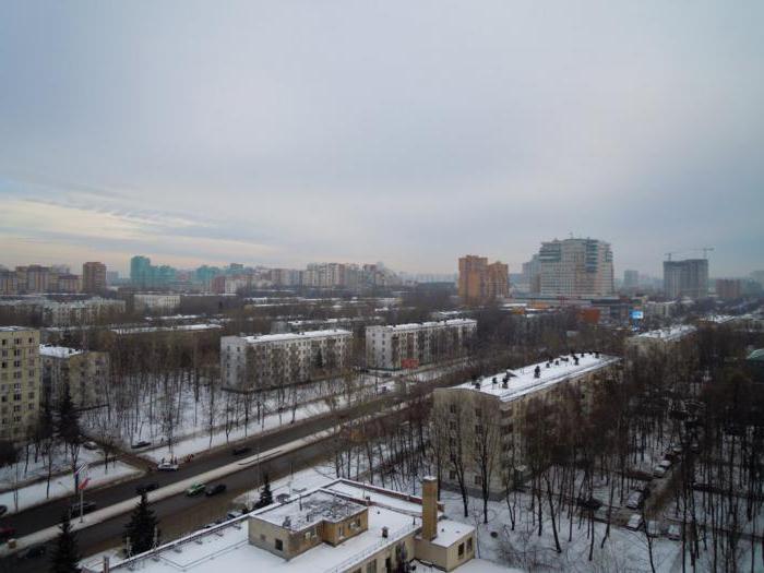 сколько улиц в москве 2016