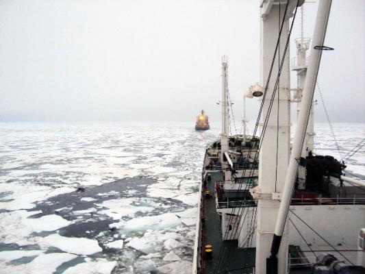 экологические проблемы белого моря кратко