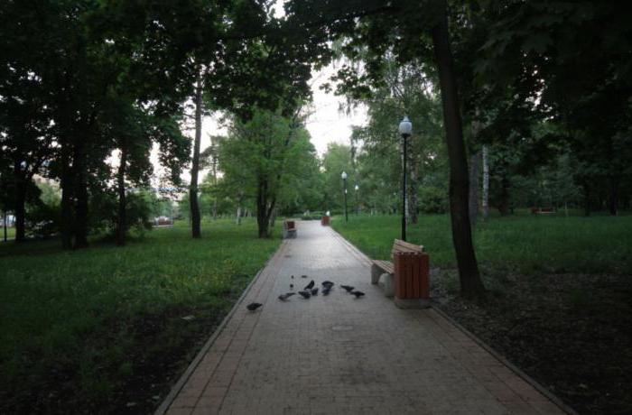Парк Березовая роща Москва фото