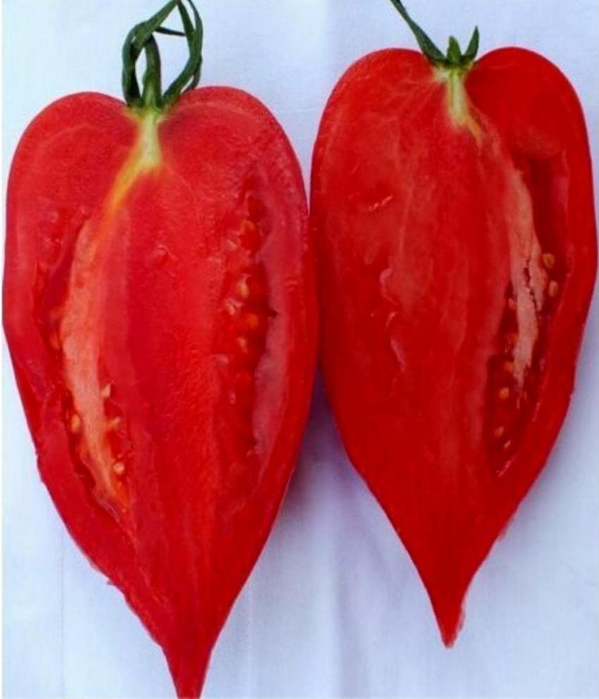 Перцевидный томат в разрезе