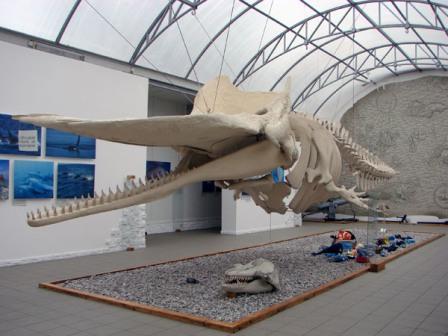 калининград музей мирового океана фото