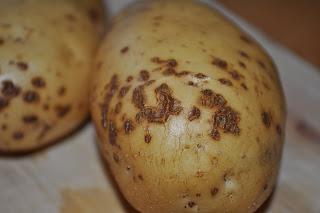 парша картофеля лечение