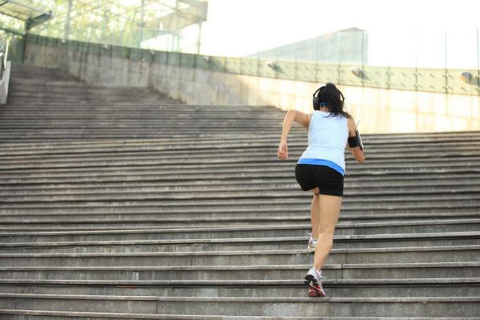 Бег по ступенькам для похудения: польза, вред, план тренировок и рекомендации