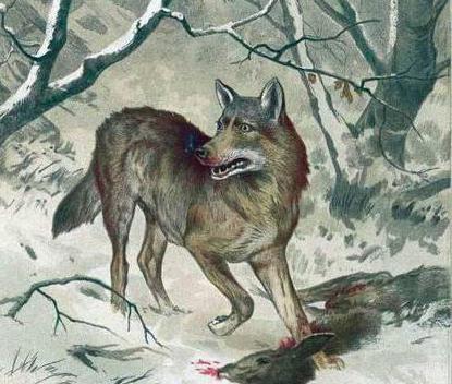 сказки про волка для детей