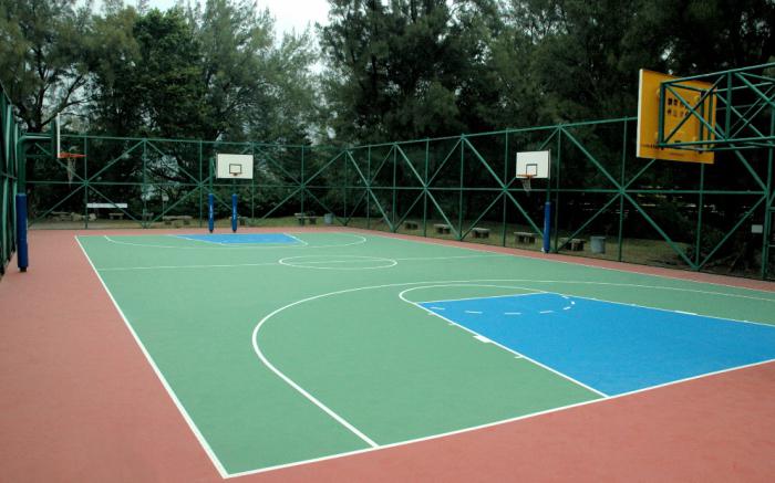 модель баскетбольной площадки