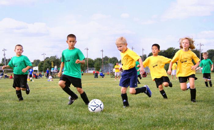 спортивные виды спорта для детей