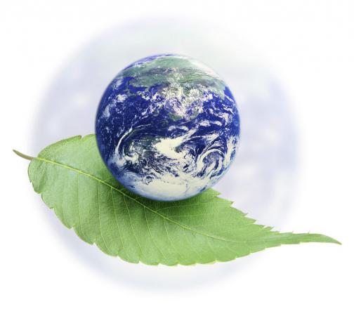 международные экологические дни список