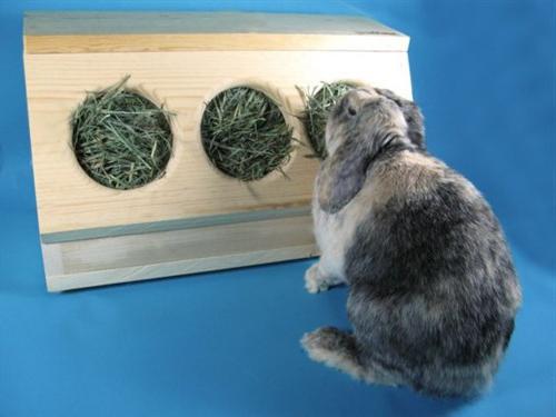 Как сделать сенник для кроликов своими руками видео