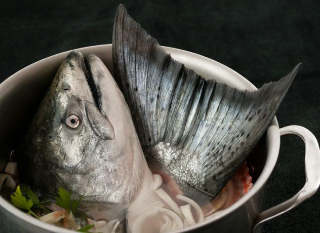 Как варить уху из головы рыбы? Рецепт приготовления