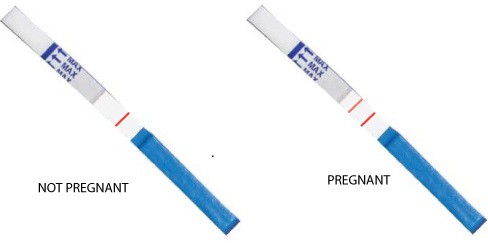 лучший тест на беременность