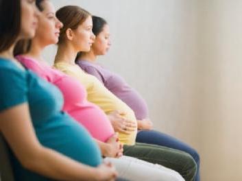 фитомуцил при беременности как принимать