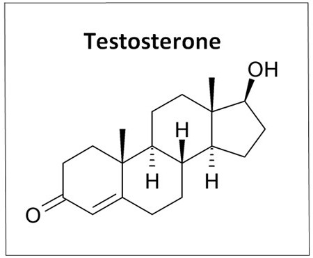 бустеры тестостерона в аптеке 