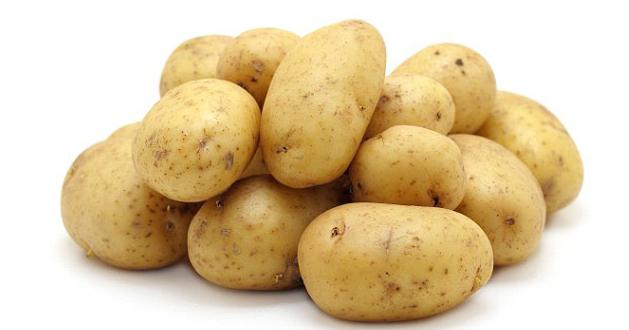 картофель болезни и вредители