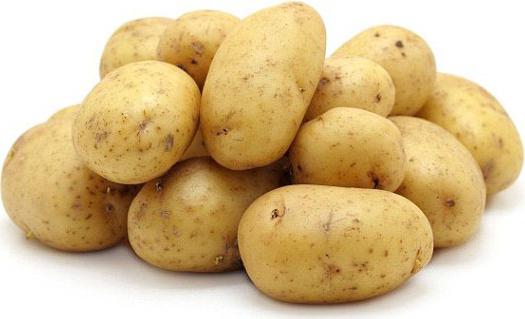 гала картофель описание