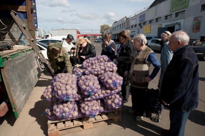 картофелеводство в России