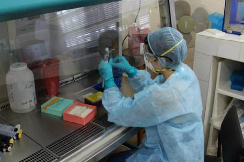 лихорадка эбола в россии