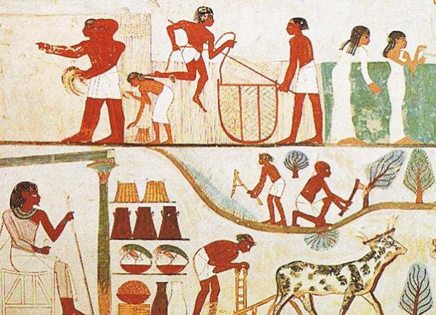 древний египет экономика