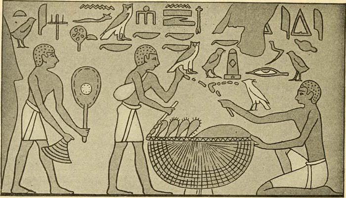 развитие экономики древнего египта