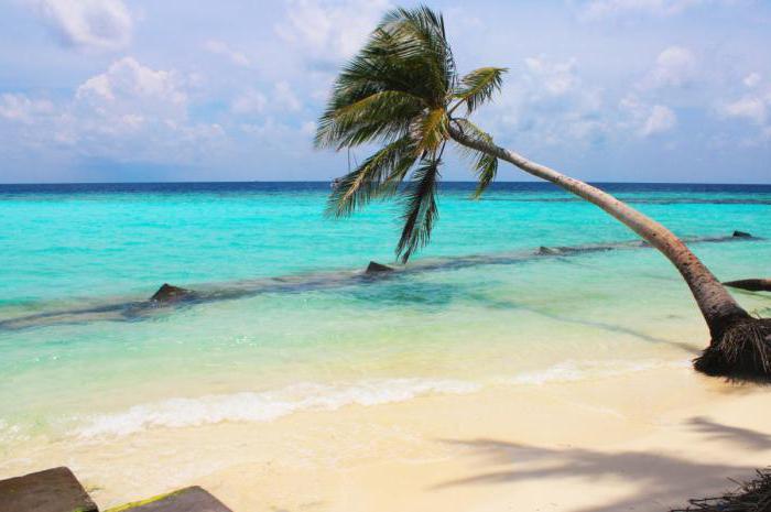 velana beach maldives 4 отзывы 