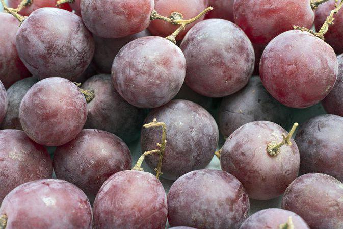 аллергия на виноград 
