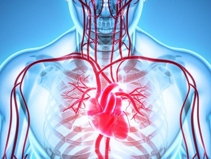 ишемическая болезнь сердца диагностика лечение 