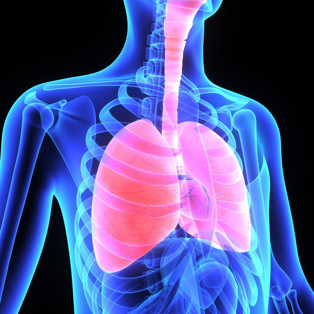 Болезни системы органов дыхания