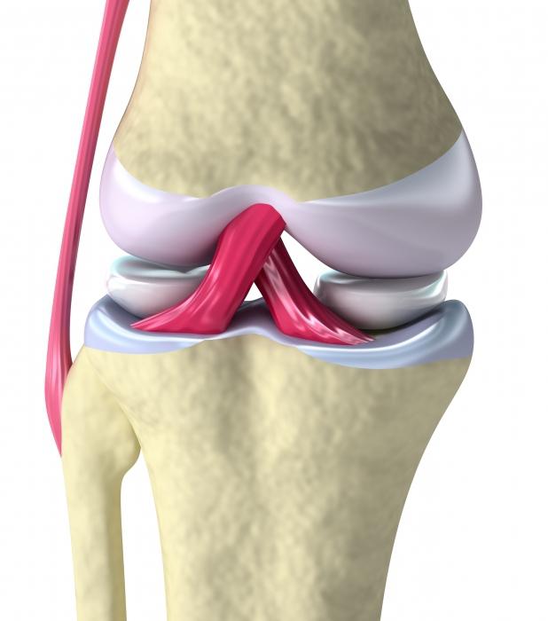 реактивный синовит коленного сустава 