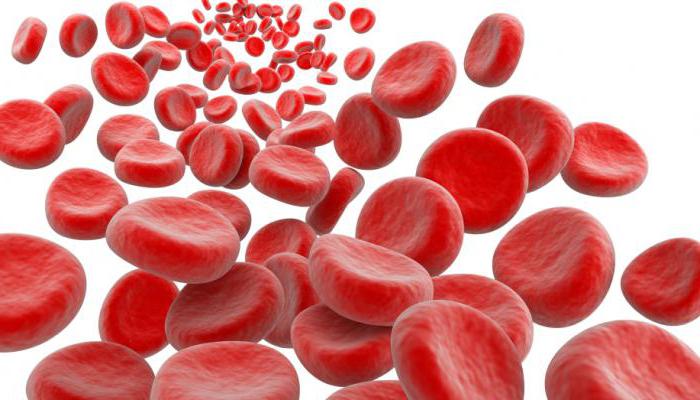 в12 дефицитная анемия анализ крови 