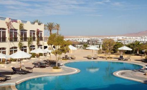 royal oasis naama bay hotel resort sharmalsheikh