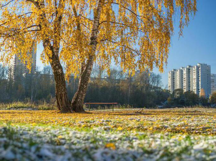 балашиха станет частью москвы